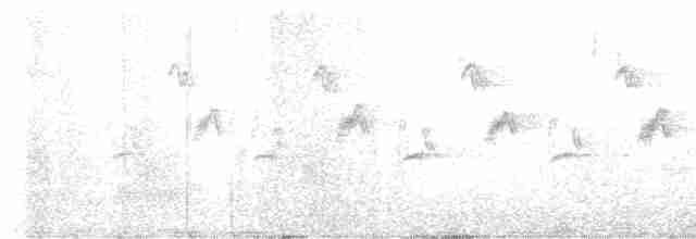 Синиця далекосхідна [група minor] - ML615255946