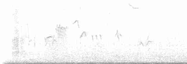 aurorarødstjert - ML615256504