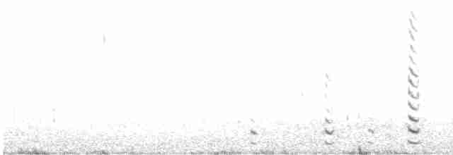 Белокрылая лысуха - ML615258754