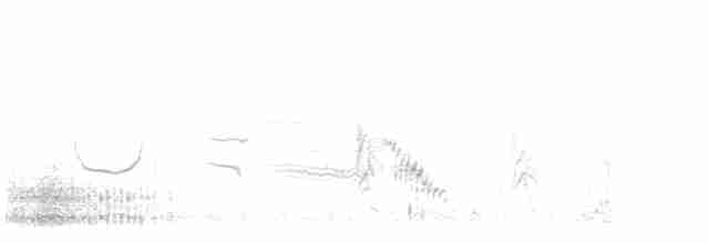 Long-tailed Meadowlark - ML615261132
