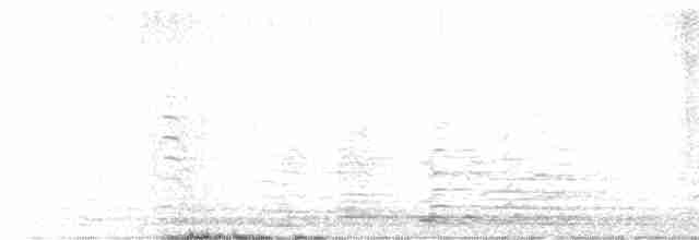 Beltxarga oihularia - ML615262725