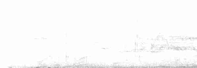 Apapanekleidervogel - ML615264426