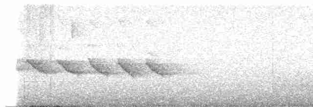 White-throated Shrike-Tanager - ML615269266