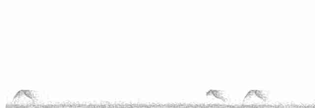 Freckled Nightjar - ML615271274