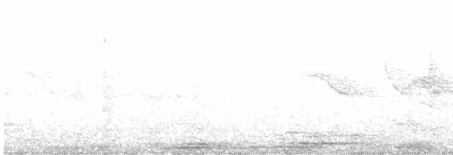 Atakama Çölyıldızı - ML615271627