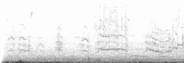 Royal Tern - ML615272238