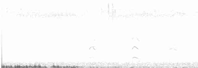 Red-shouldered Hawk - ML615272421