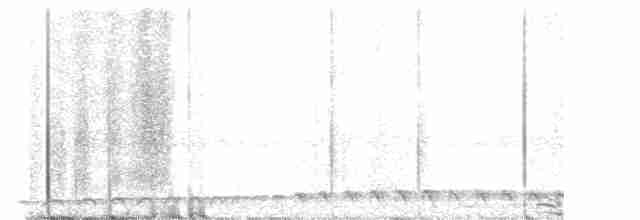 White-throated Nightjar - ML615272969