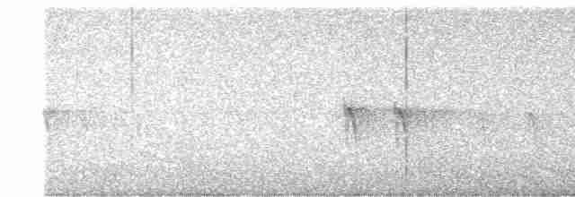 "Шишкар ялиновий (Western Hemlock, або тип 3)" - ML615275220