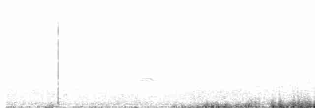 Чирянка жовтодзьоба - ML615276413