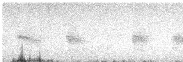Grisin sombre - ML615276916
