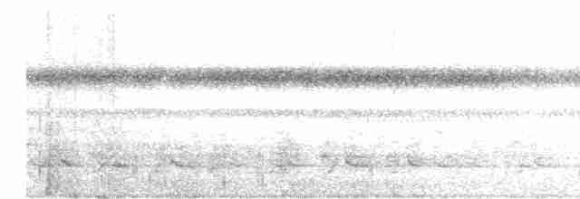 Kestane Karınlı Çaçalaka - ML615277354