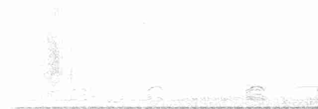 Snow Goose - ML615279357