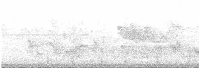 Manchurian Bush Warbler - ML615279884