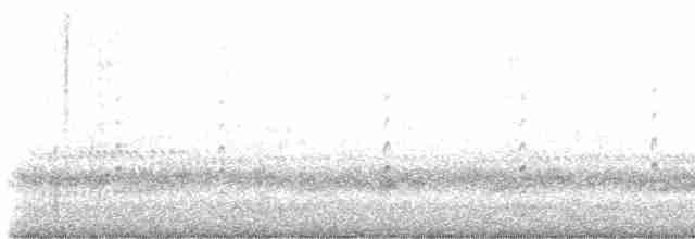 Кулик-довгоніг американський (підвид mexicanus) - ML615282708