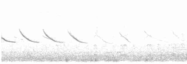 Magellanic Snipe - ML615282784