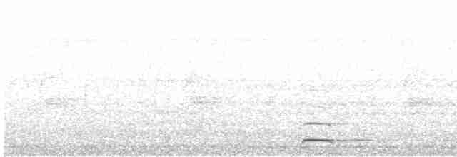 Chevêchette naine (groupe californicum) - ML615283217