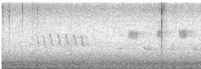 Mirlo Acuático Norteamericano - ML615283545