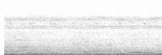 Çizgili Kulaklı Baykuş - ML615285359