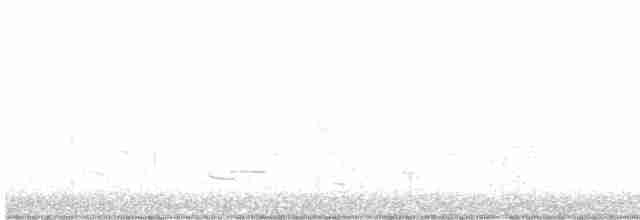 Kanyon Çıtkuşu - ML615285453