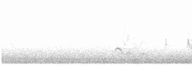 Long-tailed Meadowlark - ML615286292