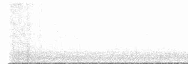 Соловьиная широкохвостка - ML615286441