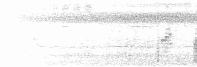 Oriental Reed Warbler - ML615287216
