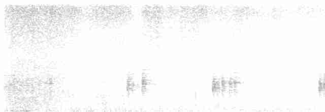 Troglodyte de Negret - ML615287226