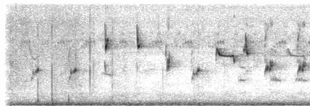 Singing Bushlark (Australasian) - ML615292217