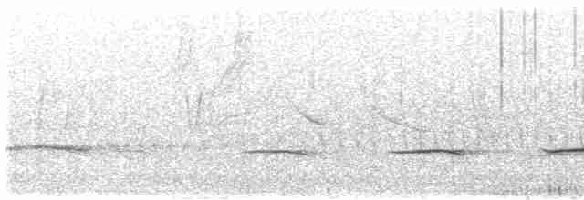 Brushland Tinamou - ML615293077