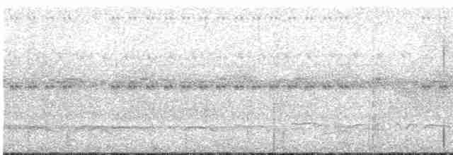 White-necked Thrush - ML615293204