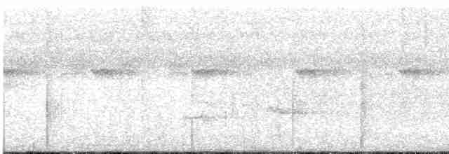 White-necked Thrush - ML615293497