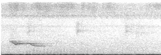 White-necked Thrush - ML615293930