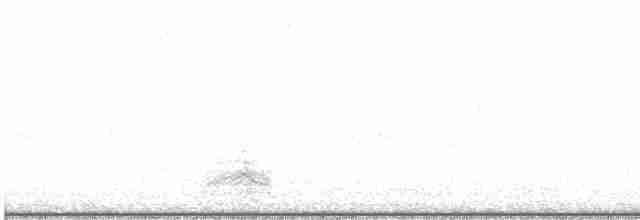 裏海燕鷗 - ML615293945
