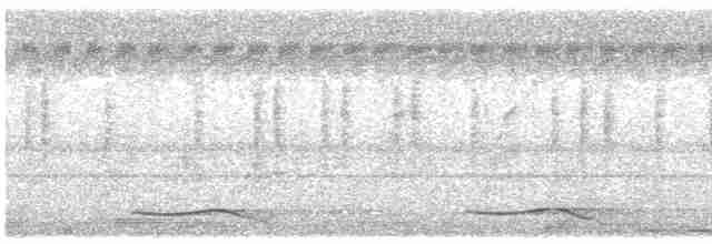 Кобилочка плямиста - ML615295086