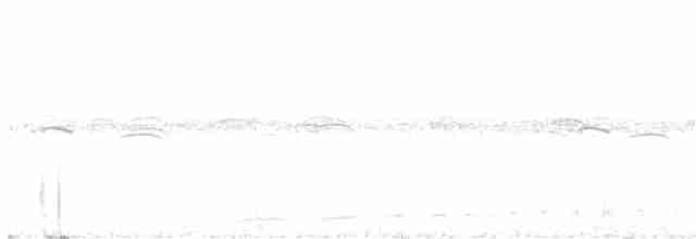White-throated Nightjar - ML615296957