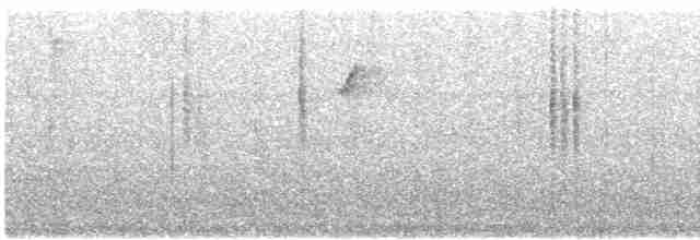Grünbrust-Mangokolibri - ML615299112