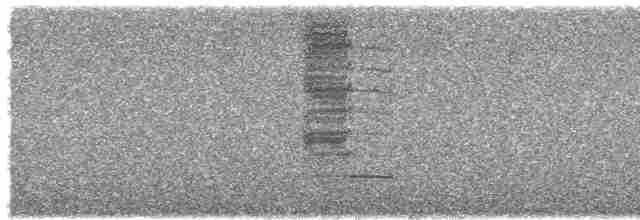 Loggerhead Shrike - ML615299572