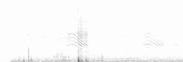 Large Gray Babbler - ML615300060