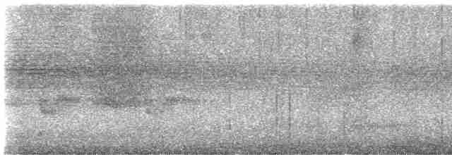 Тиран-інка буроголовий - ML615300062