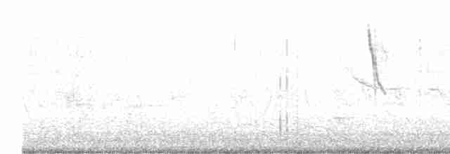 アメリカツリスガラ - ML615300270