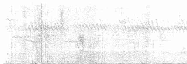 Омелюх звичайний - ML615301625