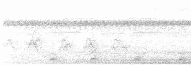 Южноамериканский лапчатоног - ML615302409