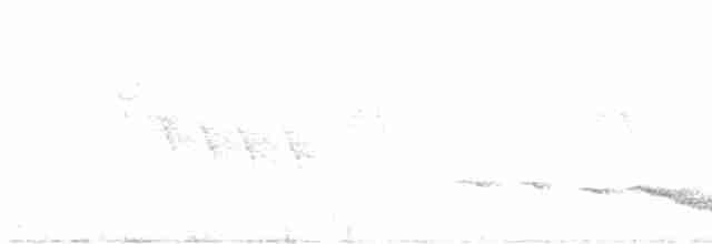 gråkronefulvetta - ML615303470