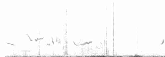 Wüstenspottdrossel - ML615311714