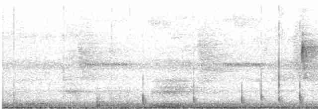 Дятел-смоктун жовточеревий - ML615319924