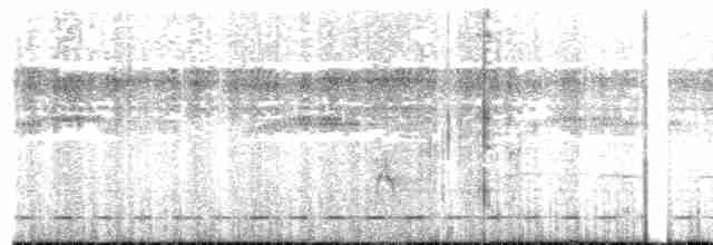 Short-tailed Antthrush - ML615320213