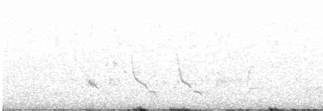 Rotsteiß-Spottdrossel - ML615320784