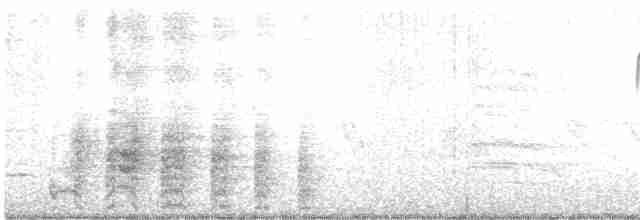 Чирок-свистунок (Американский) - ML615321852