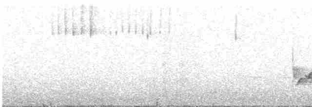 Каролинский крапивник - ML615325244